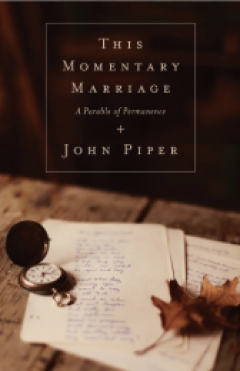 Sampul This Momentary Marriage